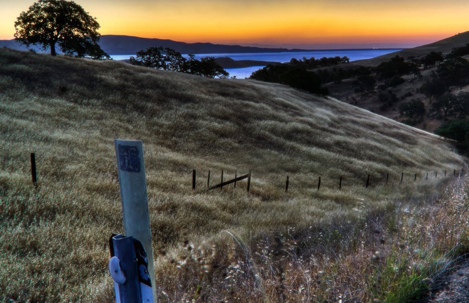 Pacheco State Park, California, USA